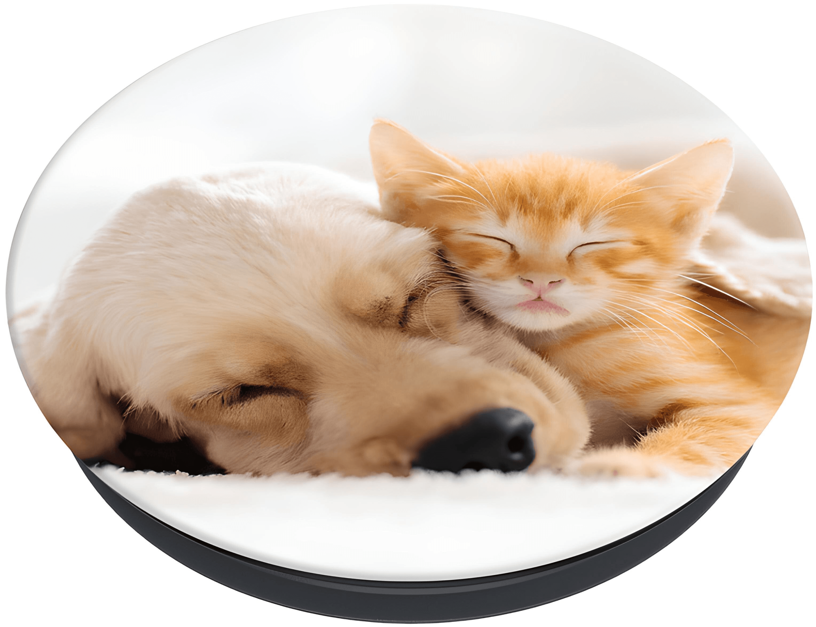 Popsockets držalo / stojalo Popgrip Basic - Cat & Dog