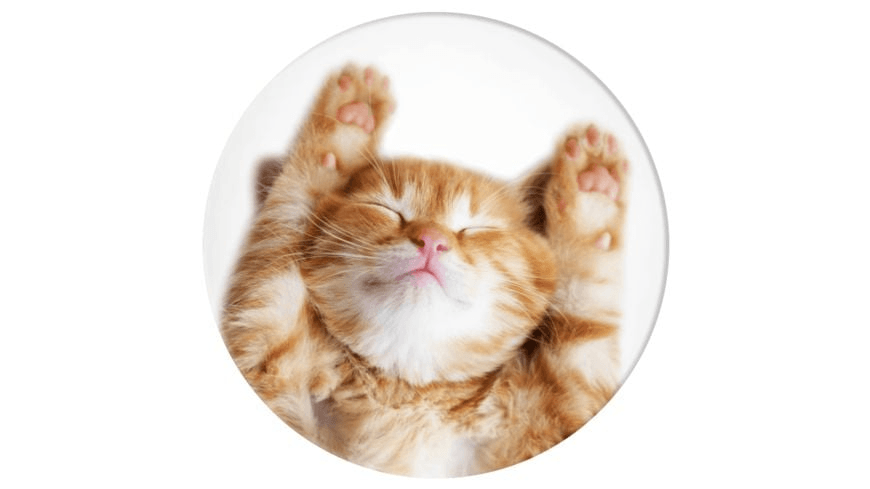 Popsockets držalo / stojalo Popgrip Basic - Snoozy Cat